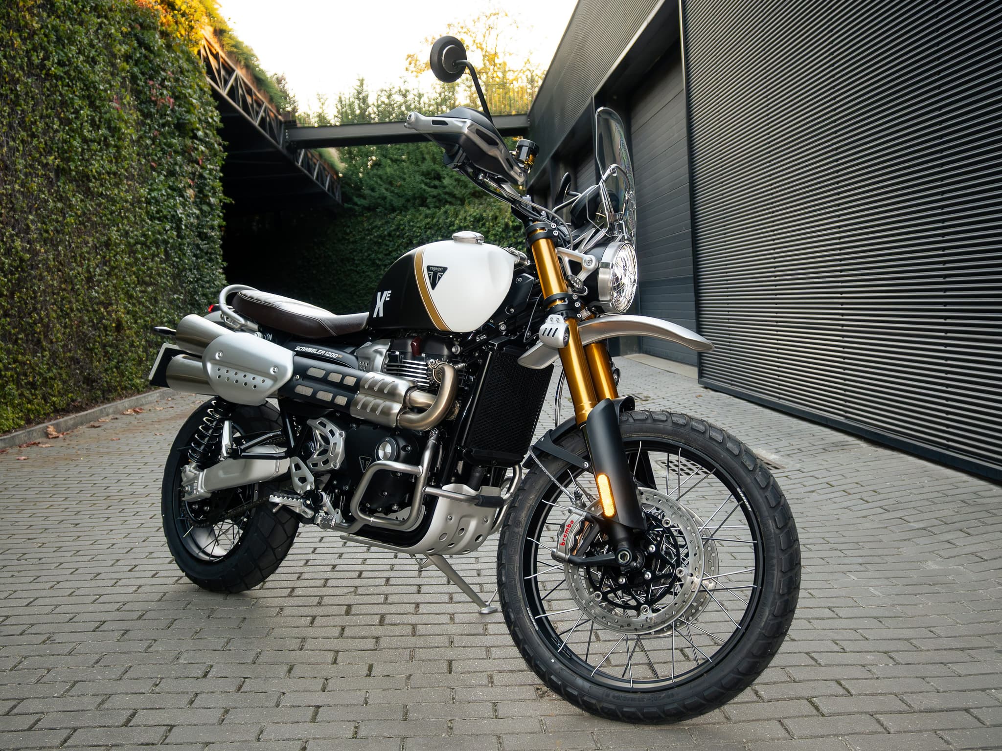Triumph Scrambler 1200 XE 2026